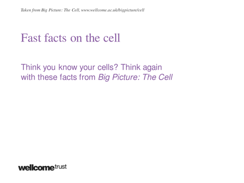 Fast facts on the cell - Powerpoint