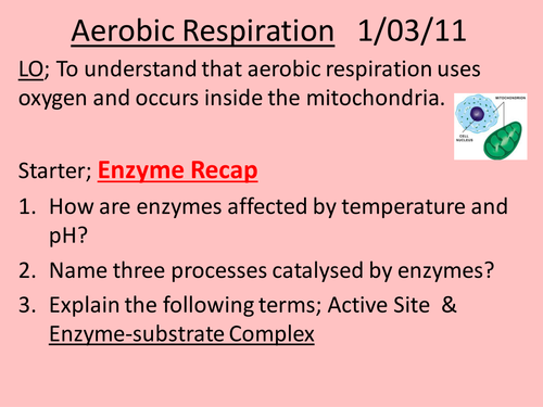 Aerobic Respiration PP