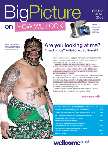 Big Picture on How We Look - magazine