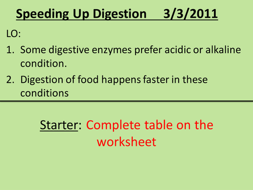 B1b Enzymes supporting PowerPoints