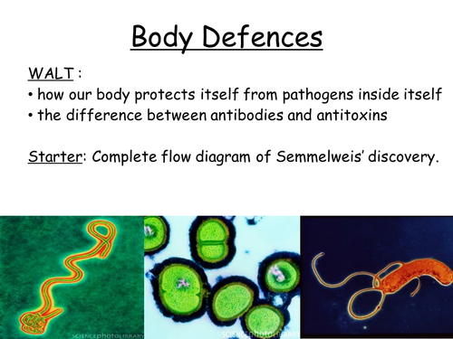Body defences