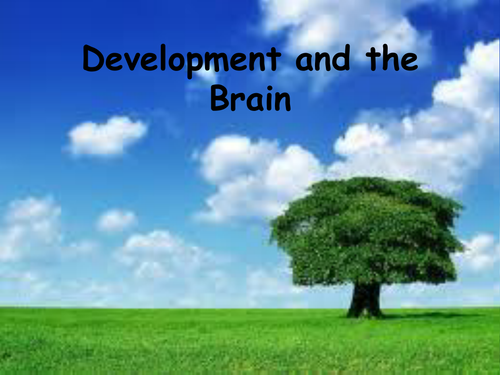 Edexcel Unit 5 Topic 'Grey Matter' about the Brain