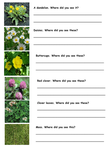 Plant hunt checklist