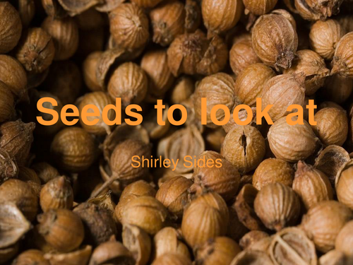 Seeds to look at