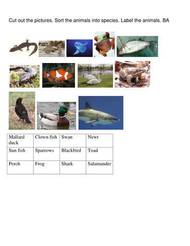 Sort animal groups