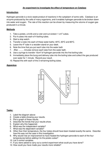 The effect of temperarature on catalase | Teaching Resources