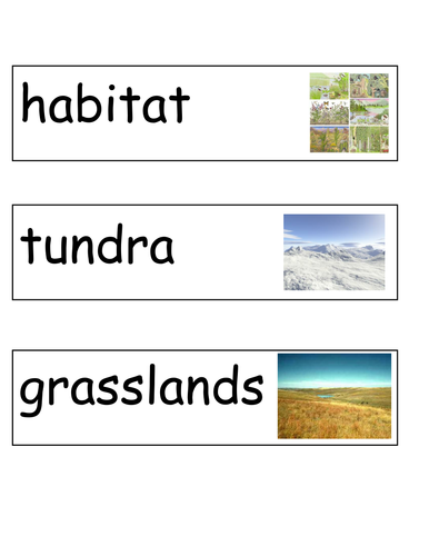 Habitats Vocab Cards