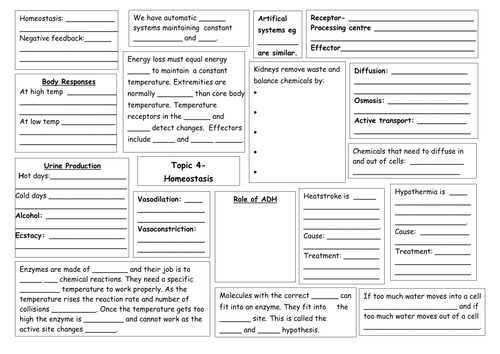 Homeostasis Revision Summary Sheet by sarahprice22 - Teaching Resources