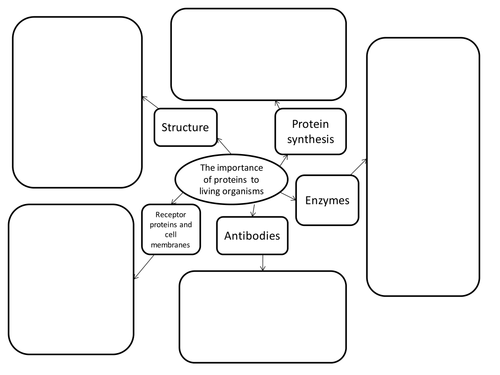 proteins synoptic essay