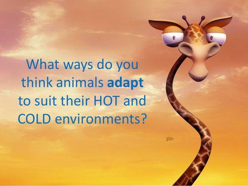 adapting-animals-create-your-own-animal-teaching-resources