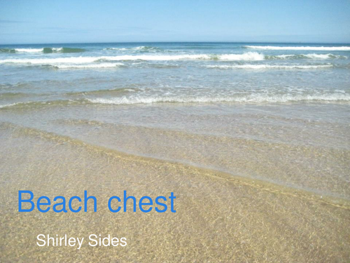 Beach chest