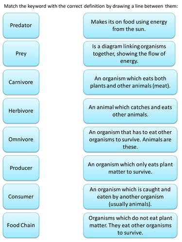 Food Chains - Key words and definitions match-up