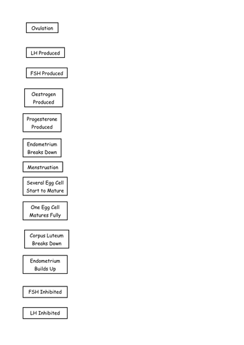 Menstrual Cycle Activities