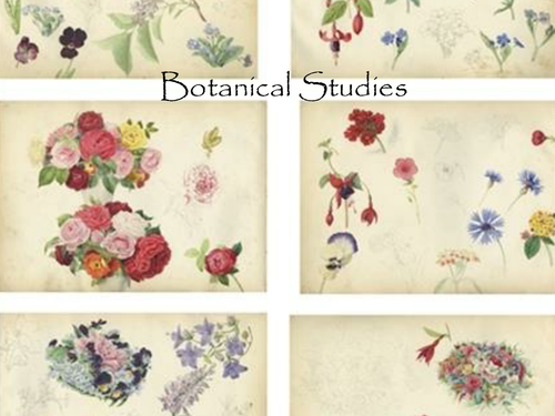 Botanical Studies