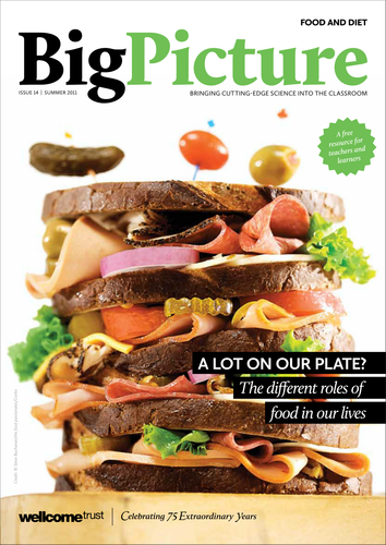Big Picture: Food and Diet science magazine