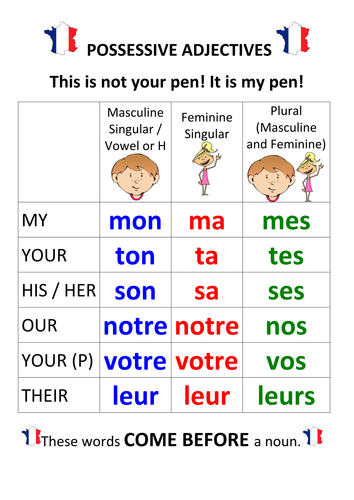 French Possessive Adjectives / Pronouns