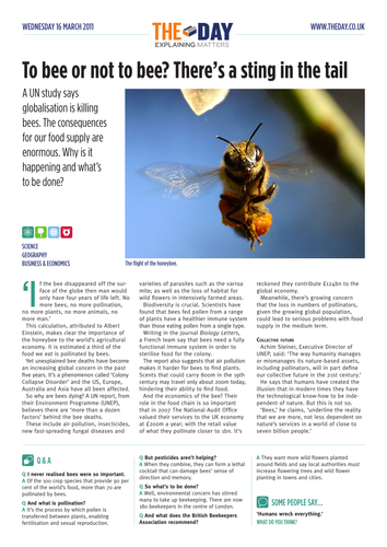 The plight of the bumblebee