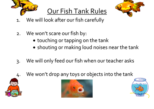 Fish Tank Rules