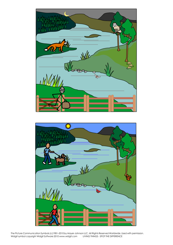 Living things - organising information