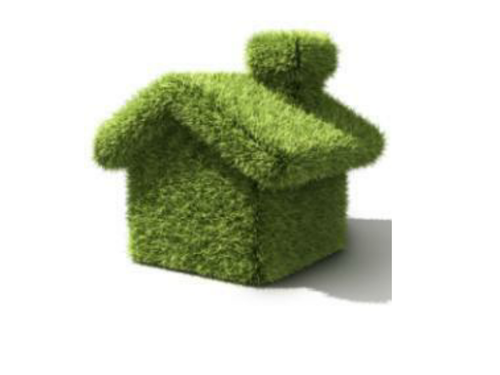 Guess the ecological word PPT game