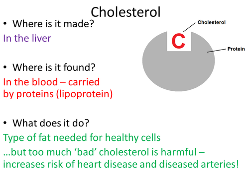 B1a revision ppt cholesterol LDL HDL statins