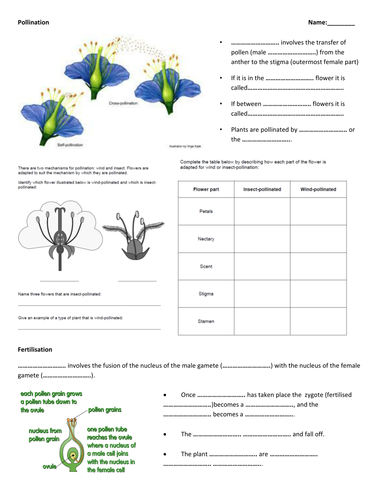 reproduction 4 grade animal worksheet Resources reproduction  by Unit Masfar  Teaching Plant Tes