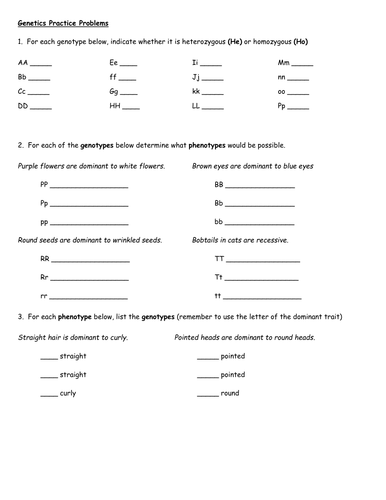 Worksheets Genetic Variation Worksheet inheritance unit by masfar teaching resources tes genetics practice problems docx
