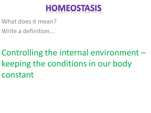 B1a Homeostasis revision powerpoint
