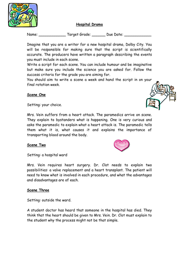 B3 transplants coursework 03 picture