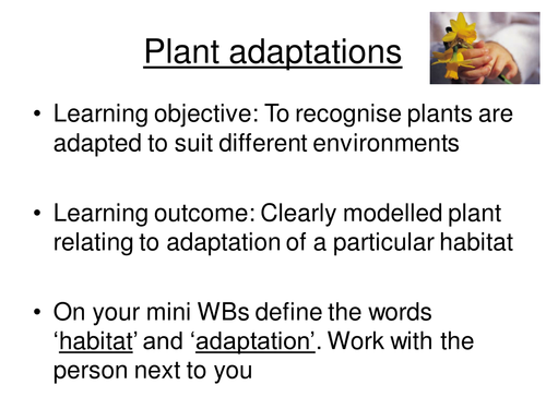 Plant adaptations