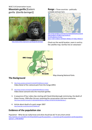 Conservation- gorilla study sheet & essay