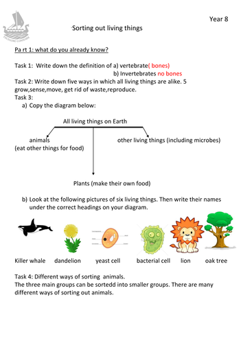 Invertebrates and vertebrates by myasin87 - Teaching Resources - Tes