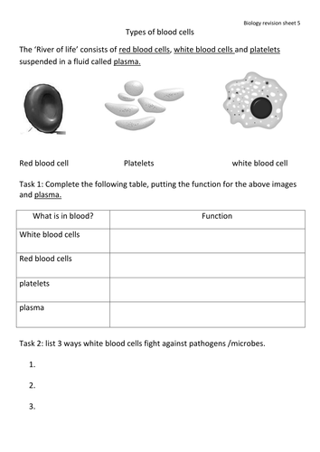 revision sheets for year 9 teaching resources