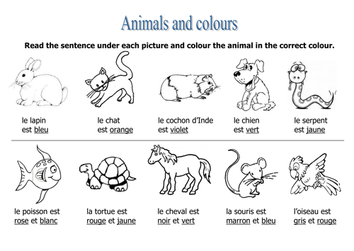 Animals & colours worksheet