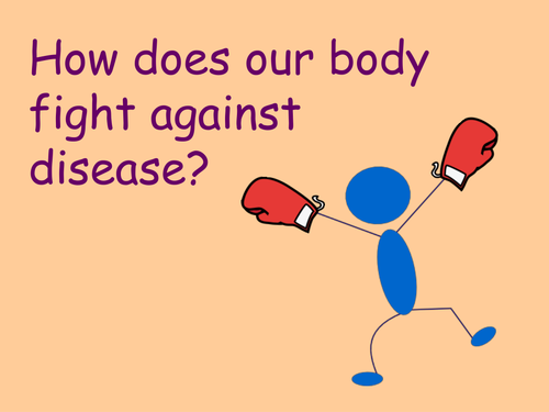 Immunisation Antibodies Fighting Disease