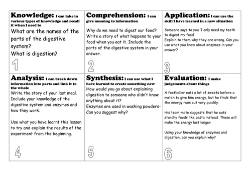 Digestion and Enzymes