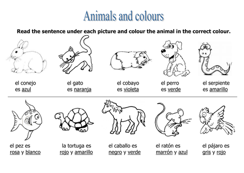 Animals & colours task | Teaching Resources