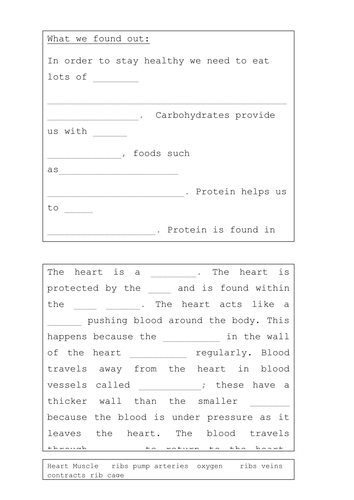 The Heart worksheet resources
