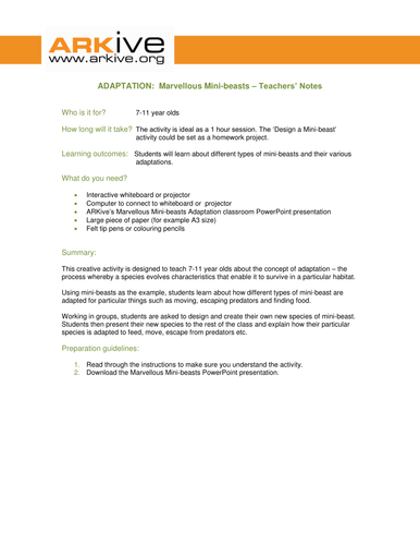 Marvellous Mini-beasts – Design a Species