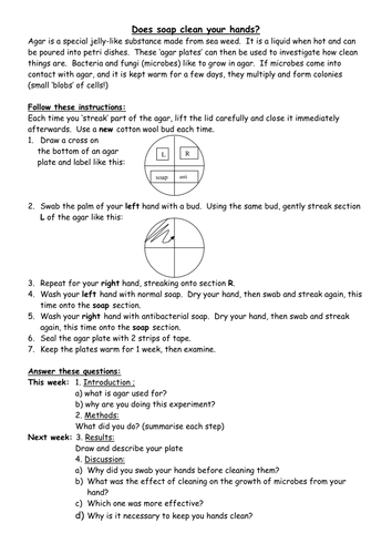 Does soap clean your hands? | Teaching Resources