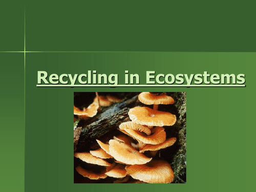 Recycling in Ecosystems PowerPoint