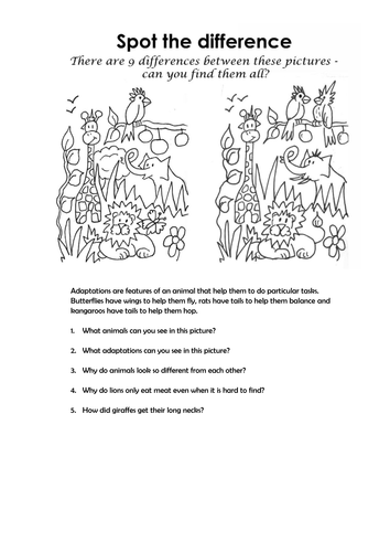 Classification Stater