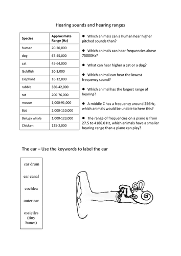 Sound and Hearing worksheet | Teaching Resources