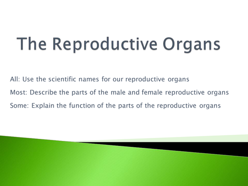 Reproductive organs lesson