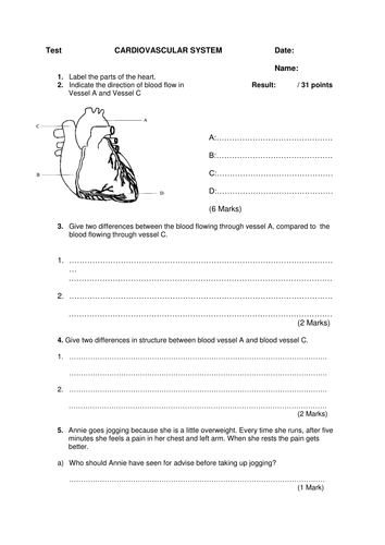 The Cardiovascular System | Teaching Resources