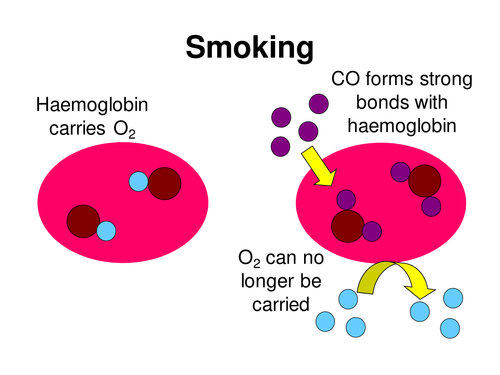 Effect Of Carbon Monoxide On Erythrocytes Teaching Resources