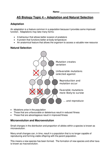 Adaptation, natural selection and evolution | Teaching Resources