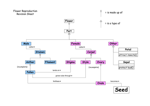 Plant Reproduction Concept Map Flowering Plant Reproduction | Teaching Resources