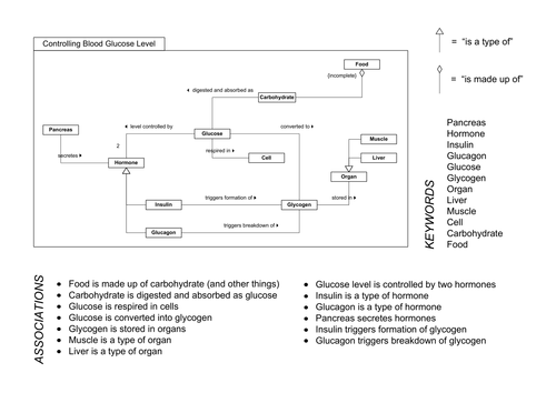 Control of Blood Sugar Concept Map