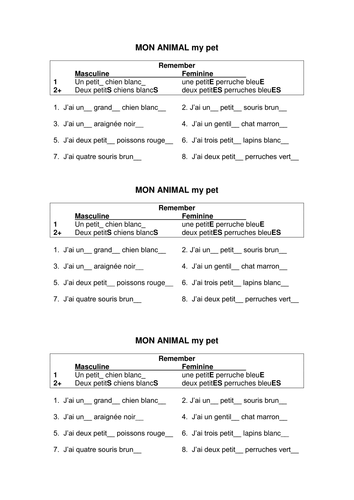 pets and adjectival agreements in French